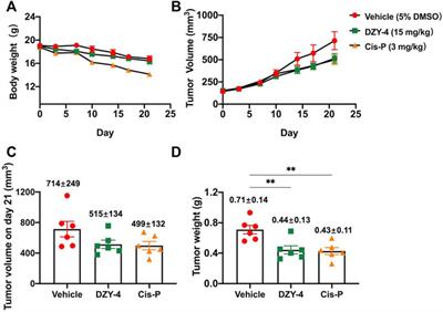 Frontiers Structure Based Virtual Screening Identified Novel FOXM1